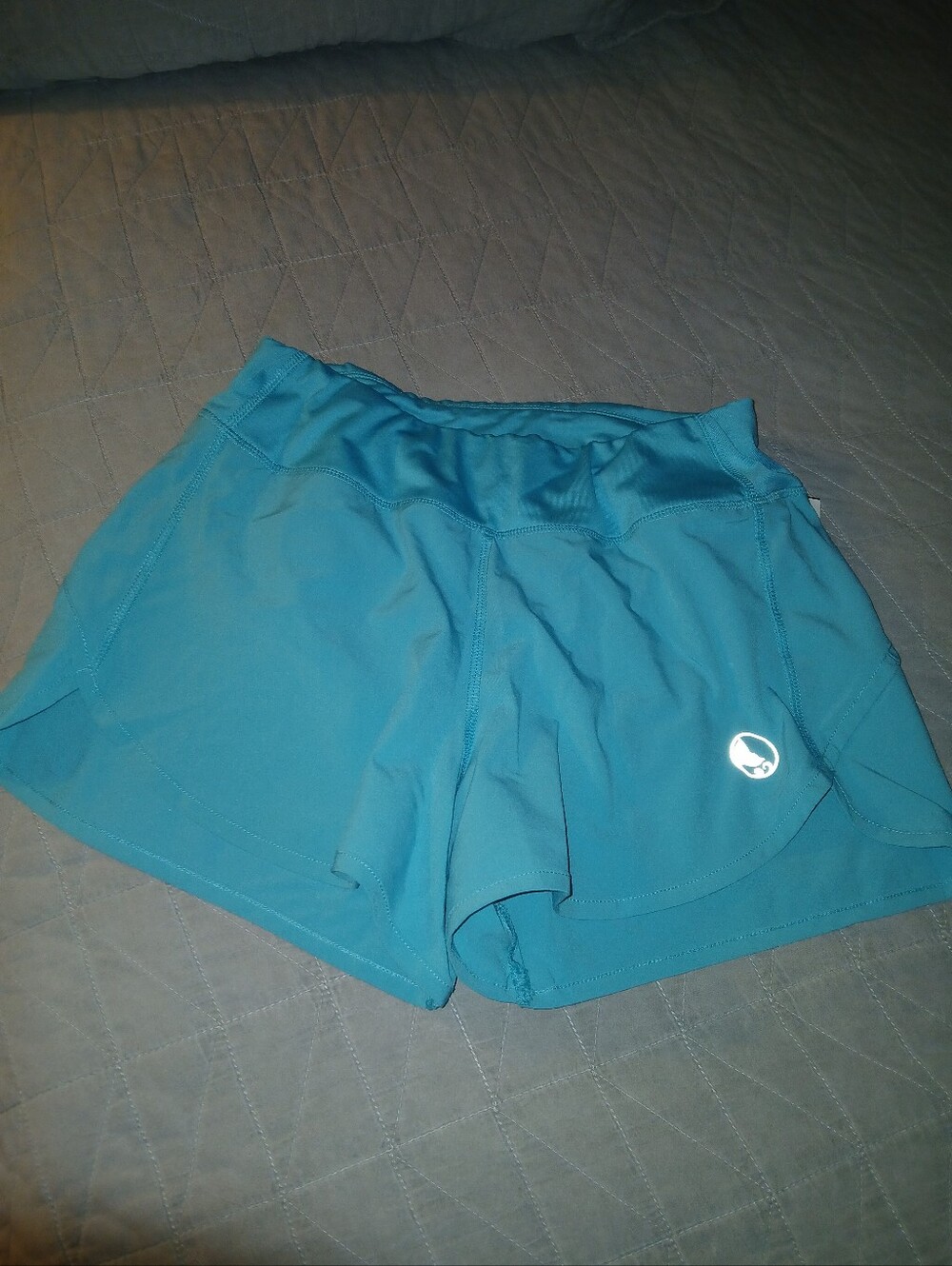 Reel Legends Teal Athletic Shorts